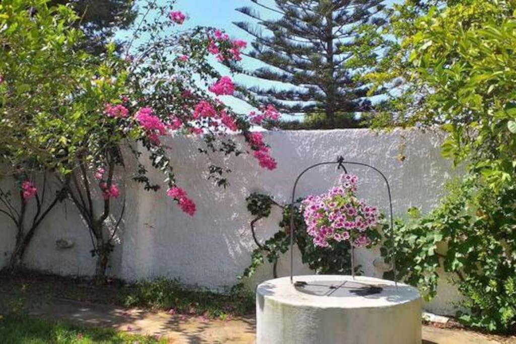 Villa Mozia Riserva Dello Stagnone Μαρσάλα Εξωτερικό φωτογραφία
